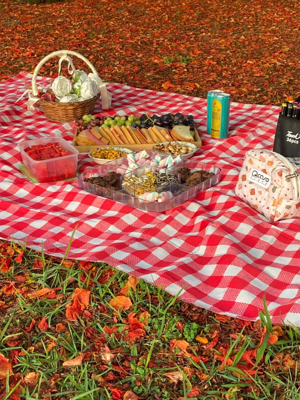 Picnic Mat