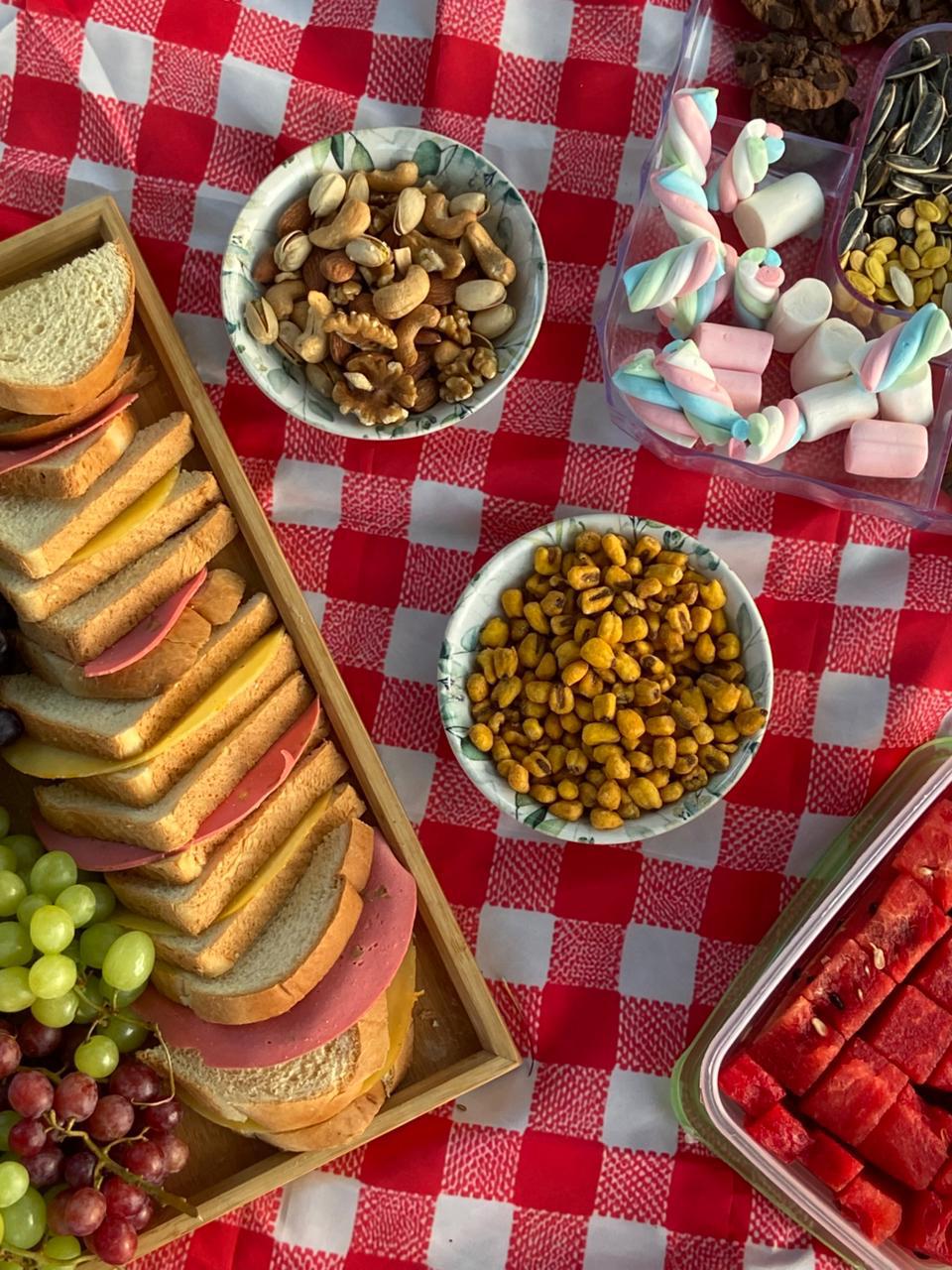 Picnic Mat