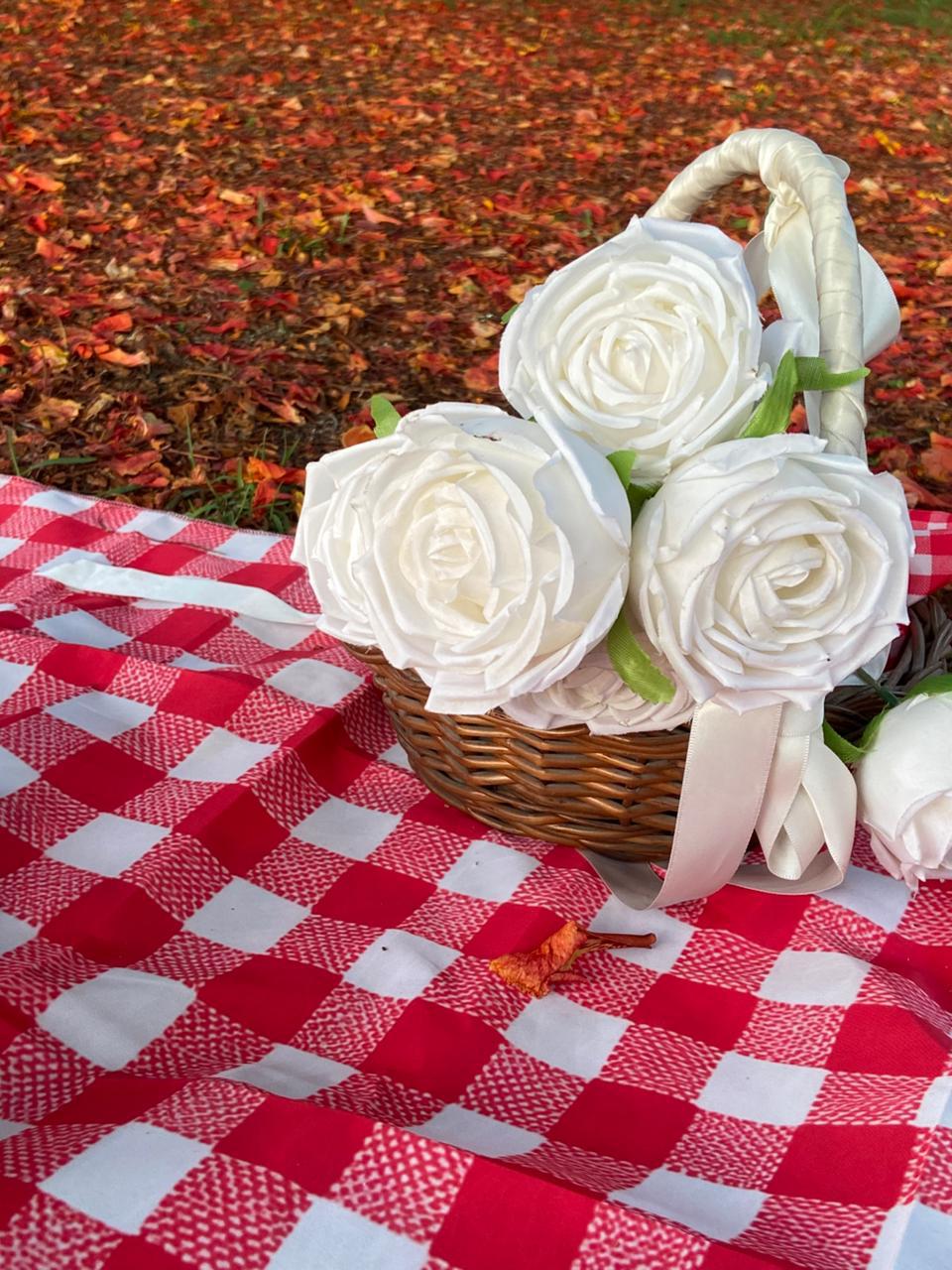 Picnic Mat