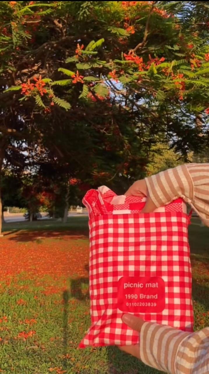 Picnic Mat